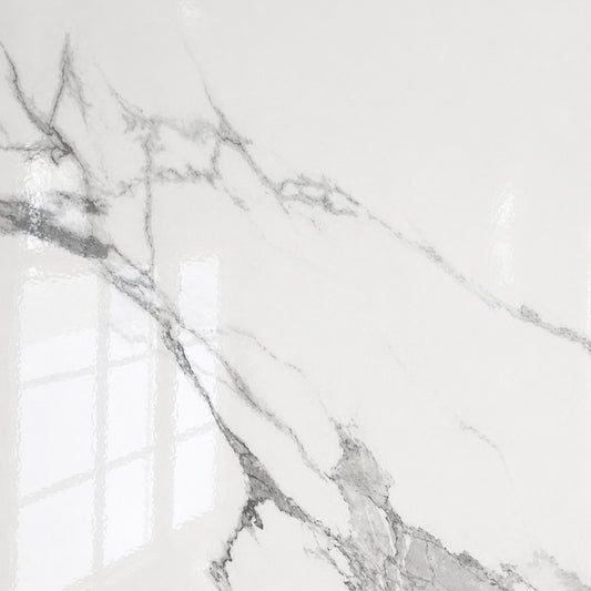 Porcelain Tile in Gloss White Carrera Marble